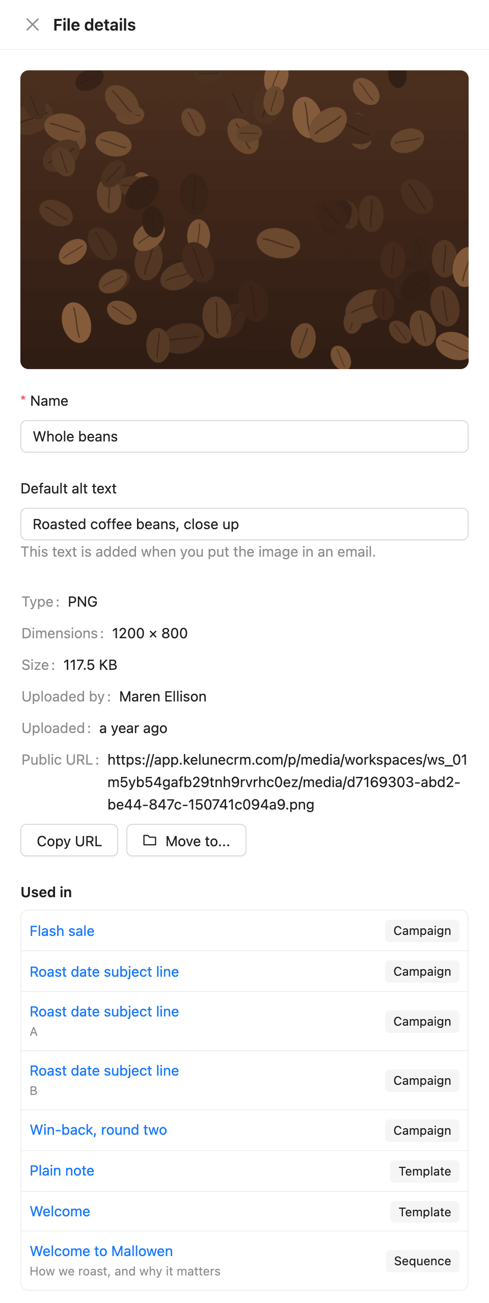 The File details drawer with the image, its name, default alt text, file facts and where it is used